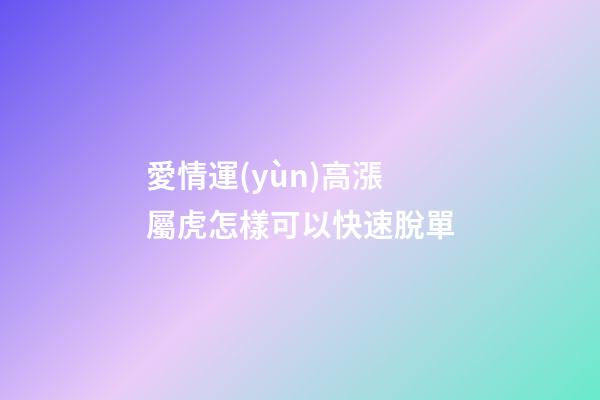 愛情運(yùn)高漲 屬虎怎樣可以快速脫單